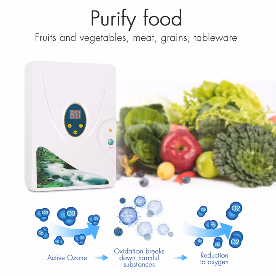 2022 농업용 과일 및 채소의 화학적 해독을 위한 오존 발생기