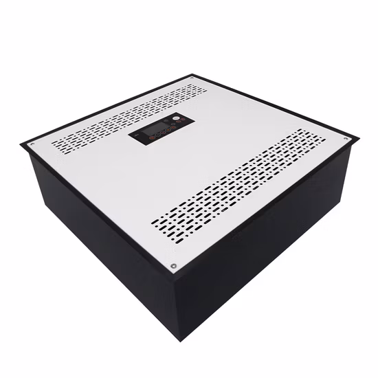 Flygoo 50g/h 산업용 천장 장착형 오존 발생기 공기 소독기 오존 소독제